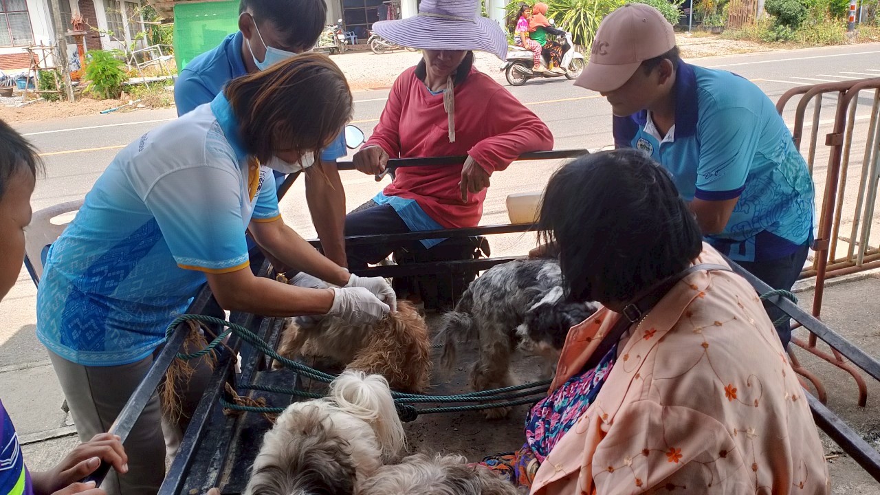 ลงพื้นที่บริการฉีดวัคซีนป้องกันโรคพิษสุนัขบ้า หมู่ที่ 6 บ้านทุ่งขมิ้น , หมู่ที่ 7 บ้านเขาแดง ตำบลป่าแก่บ่อหิน