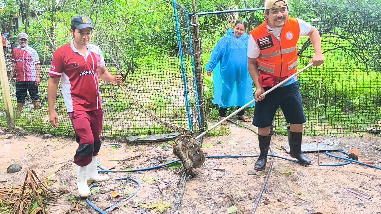 จับงูในพื้นที่ ม.4 บ้านขุมทรัพย์ ตำบลป่าแก่บ่อหิน