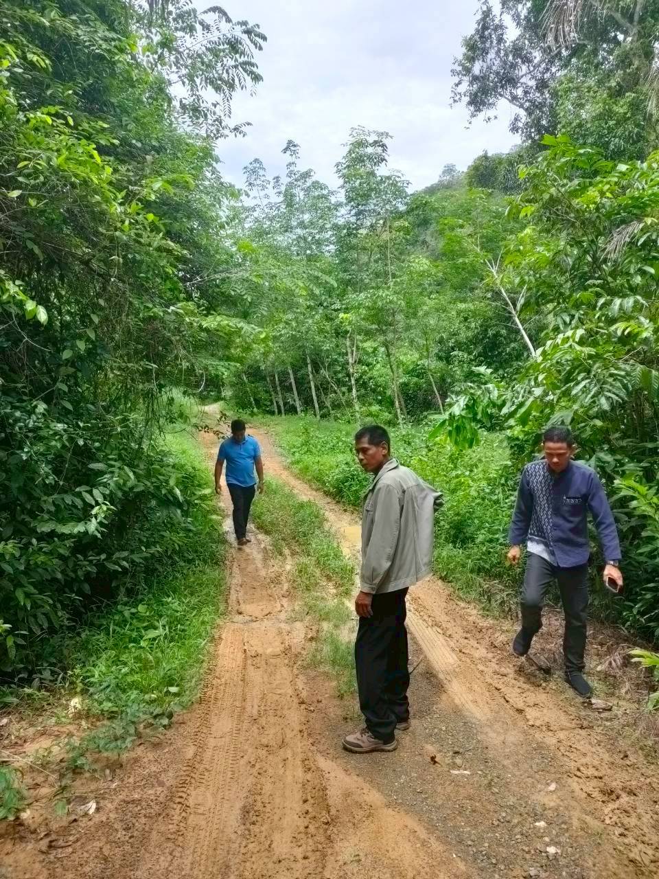 ลงพื้นที่สำรวจสภาพทางระบายน้ำและท่อระบายน้ำ พื้นที่หมู่ที่ 5 ซอยยายสังข์ ตำบลป่าแก่บ่อหิน อำเภอทุ่งหว้า จังหวัดสตูล